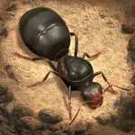The Ants Underground Kingdom Mod Apk V3.31.0